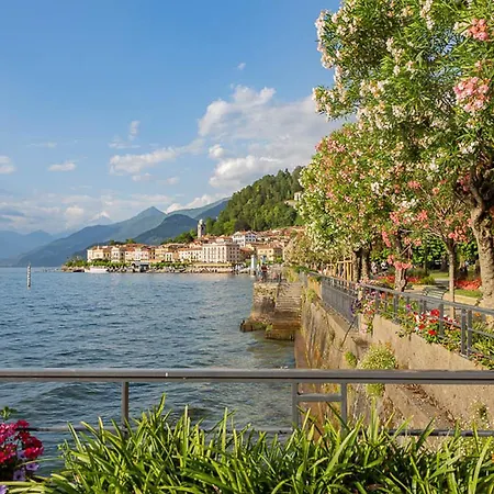 Beautiful Oasi *