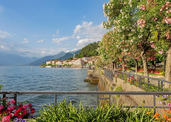 Beautiful Oasi *